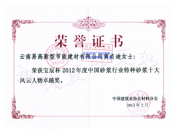 風(fēng)云人物榮譽(yù)證書(shū)-易高